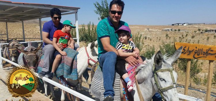 طبیعت گردی در اطراف تهران