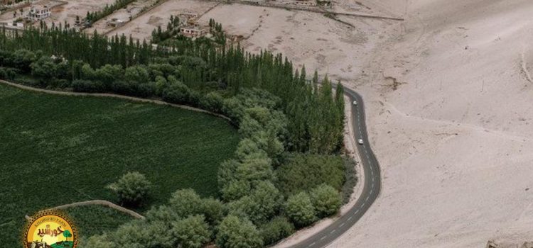 جنگل مصنوعی