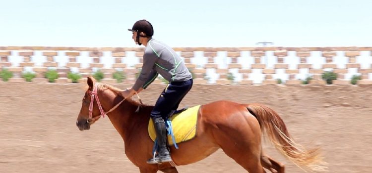 آموزش اسب سواری دماوند