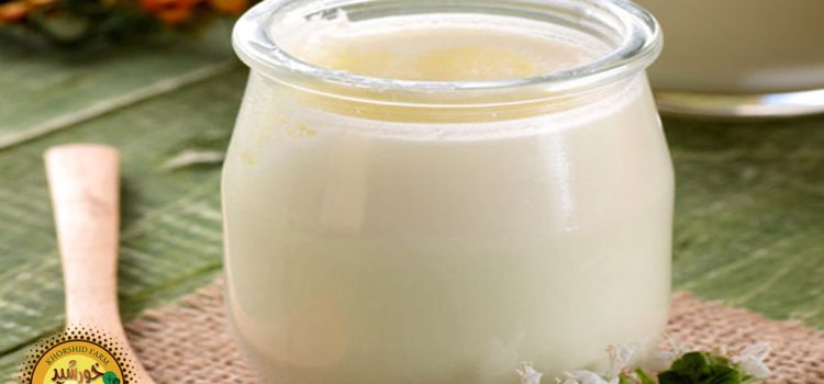 طرز تهیه ماست روستایی