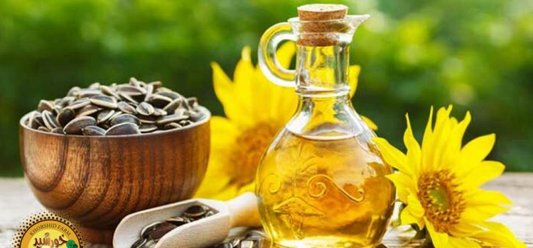 بهترین لوکیشن آفتابگردان اطراف تهران