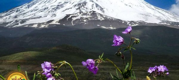 جاهای دیدنی دماوند