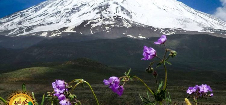 جاهای دیدنی دماوند